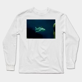 Leopard Shark Long Sleeve T-Shirt